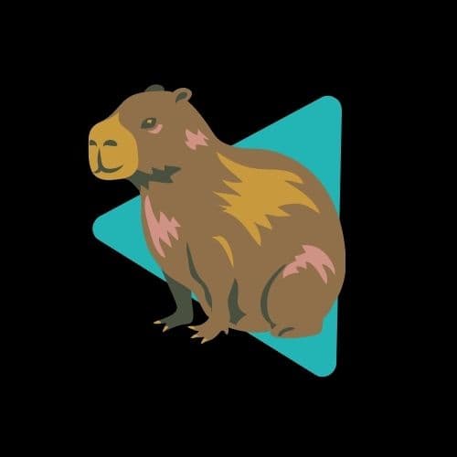 Capivara de Programa´s Report